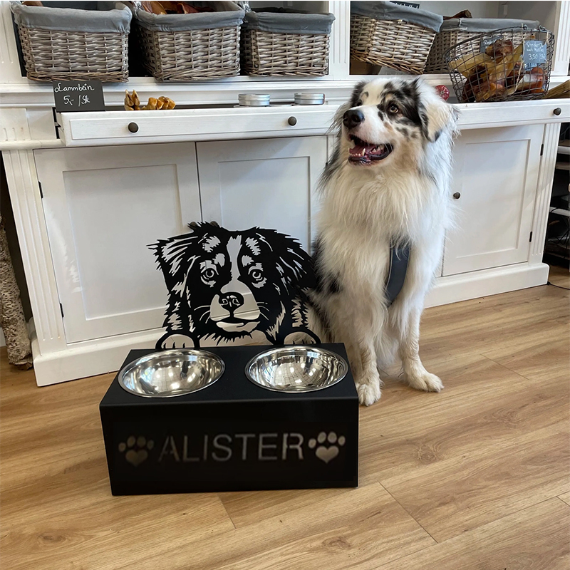 Personalized Dog Food Bowl – Customized with your pet’s name