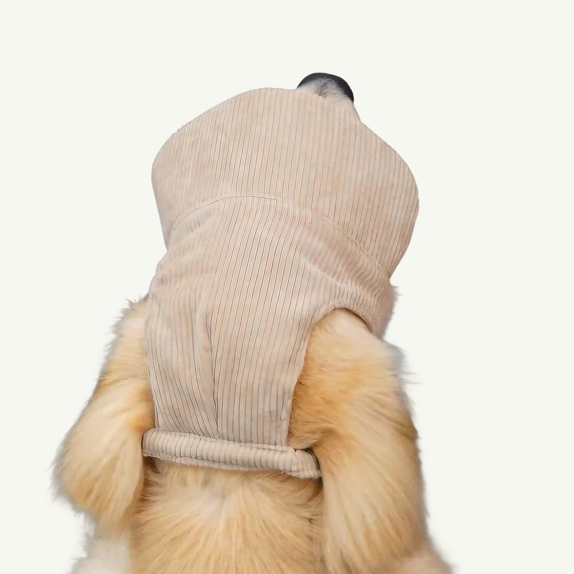 Baseball Cap For Pup