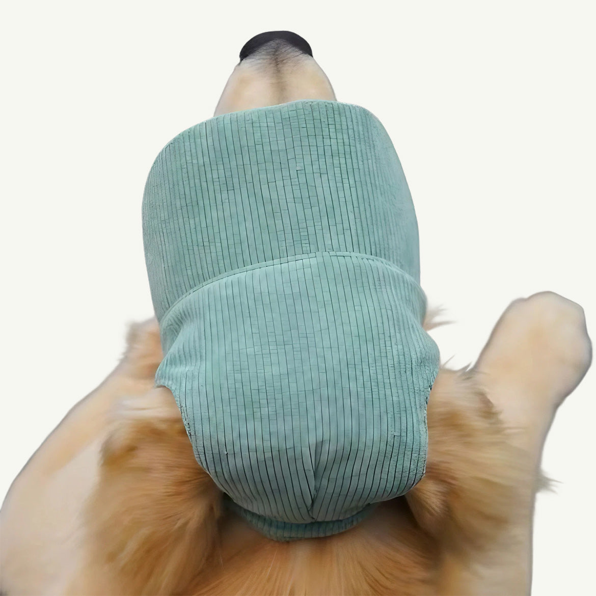 Baseball Cap For Pup