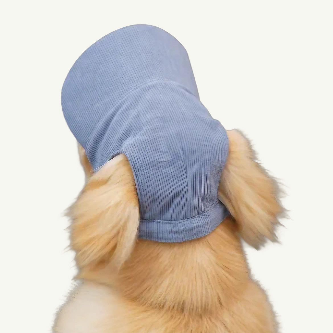 Baseball Cap For Pup