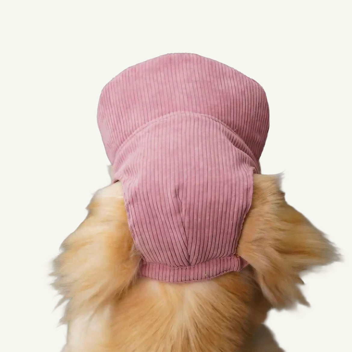 Baseball Cap For Pup