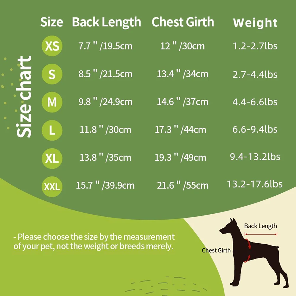 Personalized Multicolor Basketball Football Baseball Dog Hoodie with Name Number 