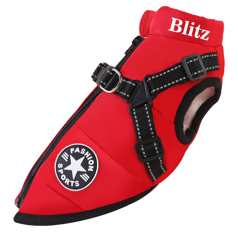 Personalized Warm Waterproof Dog Jacket With Harness