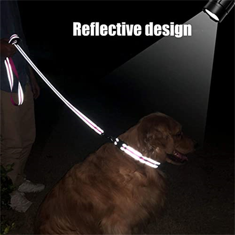 Reflective Nylon Dog Leash