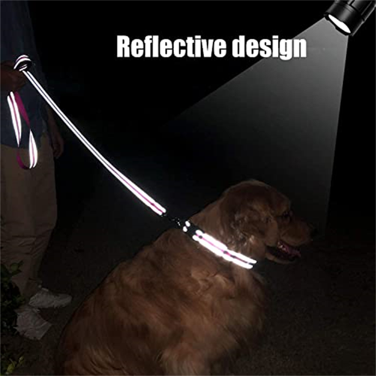 Reflective Nylon Dog Leash