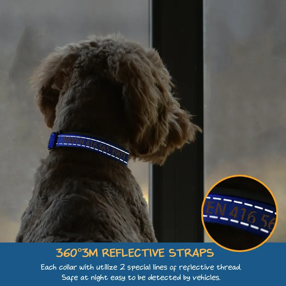 Personalized Multicolor Adjustable Reflective Strips Dog Collar