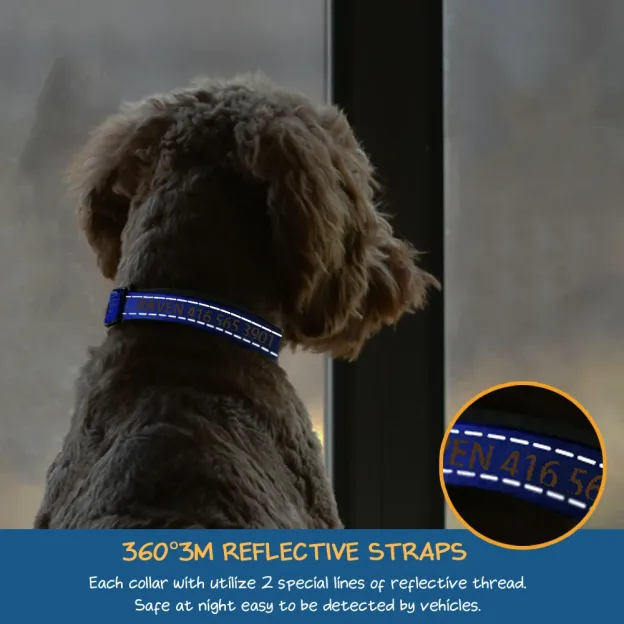 Personalized Multicolor Adjustable Reflective Strips Dog Collar
