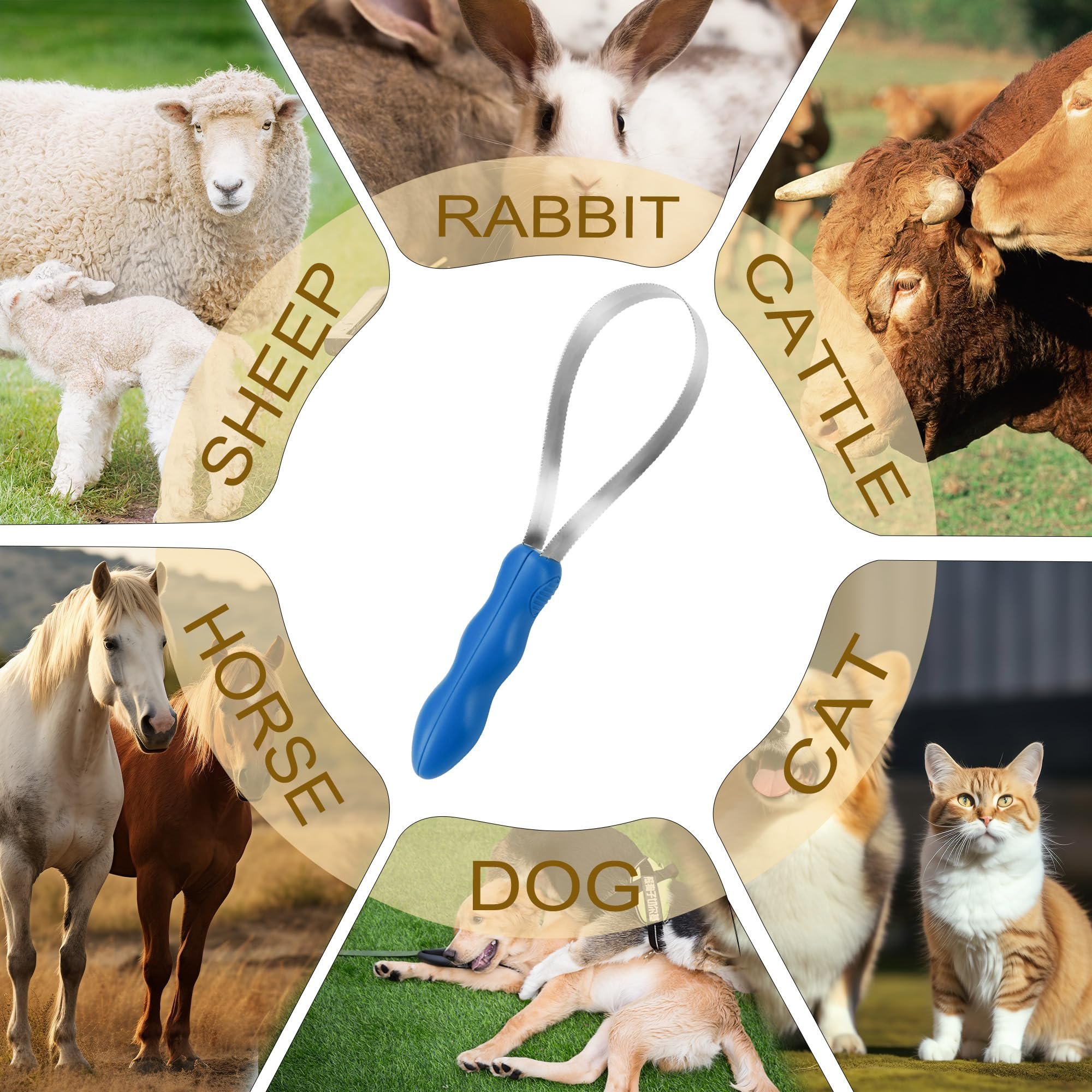 Dual-Sided Shedding Blade Pet Hair Brush