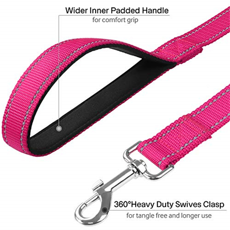 Reflective Nylon Dog Leash