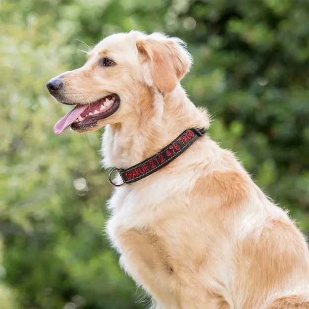 Personalized Multicolor Adjustable Reflective Strips Dog Collar