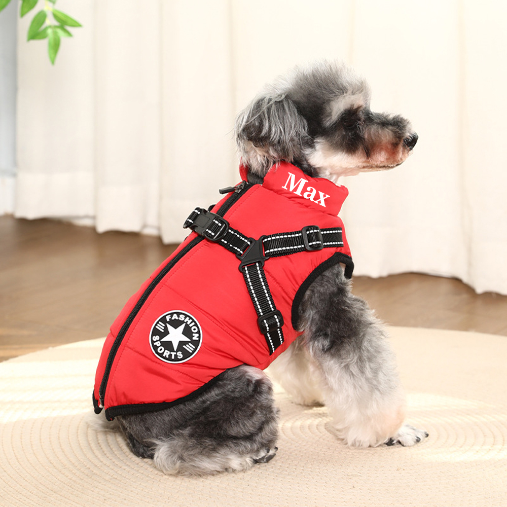 Personalized Warm Waterproof Dog Jacket With Harness