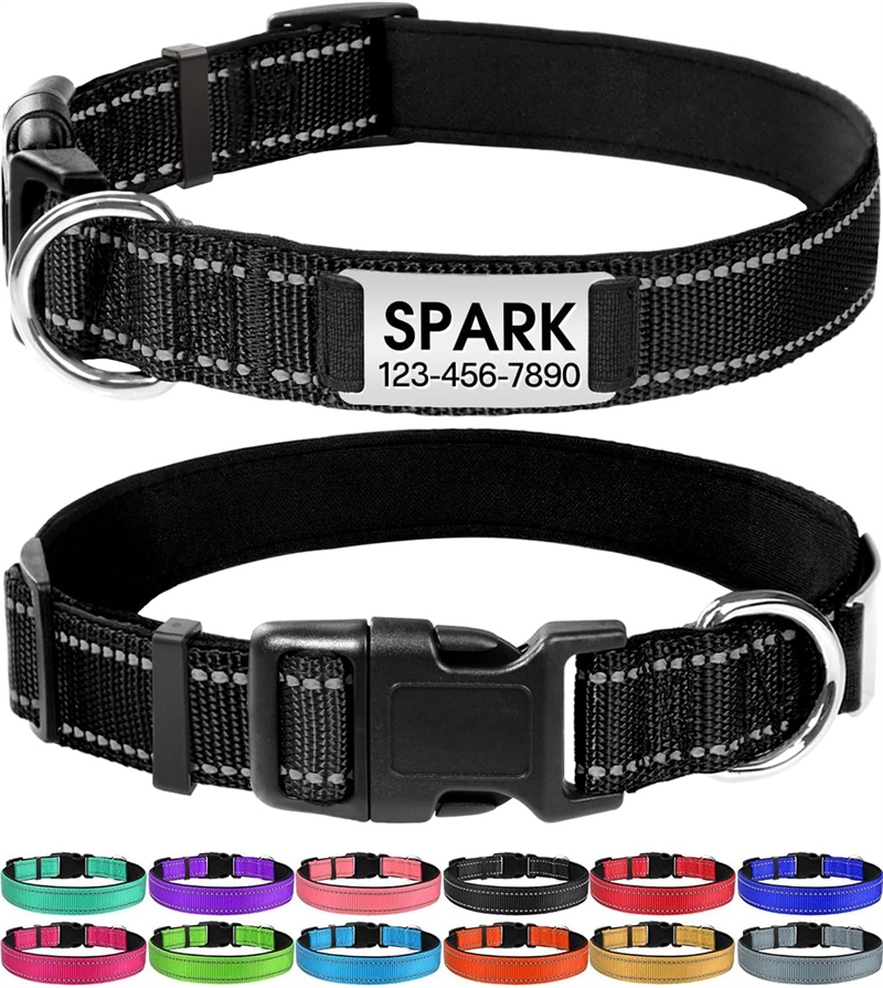 Personalized Reflective Nylon Dog Collar with Engraved Name Plate
