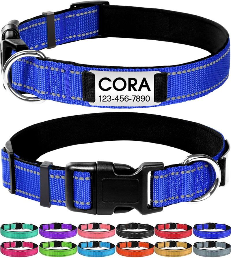 Personalized Reflective Nylon Dog Collar with Engraved Name Plate