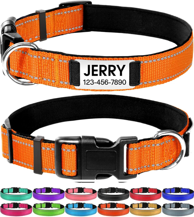 Personalized Reflective Nylon Dog Collar with Engraved Name Plate