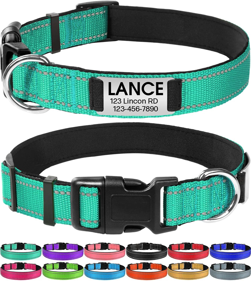 Personalized Reflective Nylon Dog Collar with Engraved Name Plate