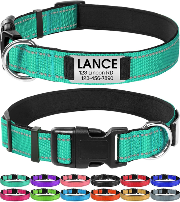 Personalized Reflective Nylon Dog Collar with Engraved Name Plate