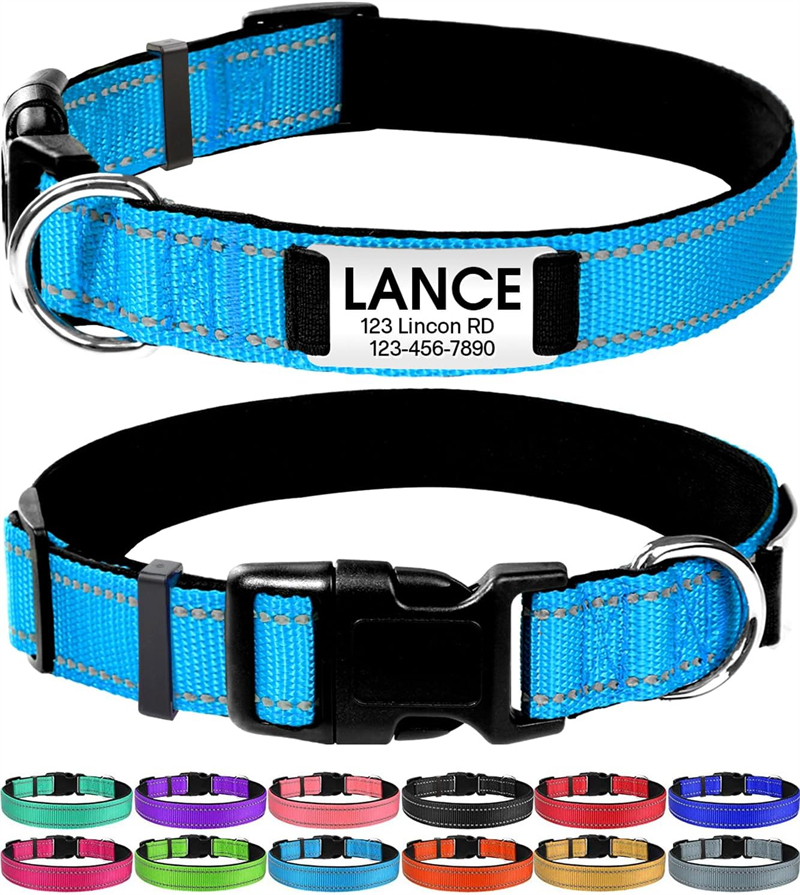 Personalized Reflective Nylon Dog Collar with Engraved Name Plate