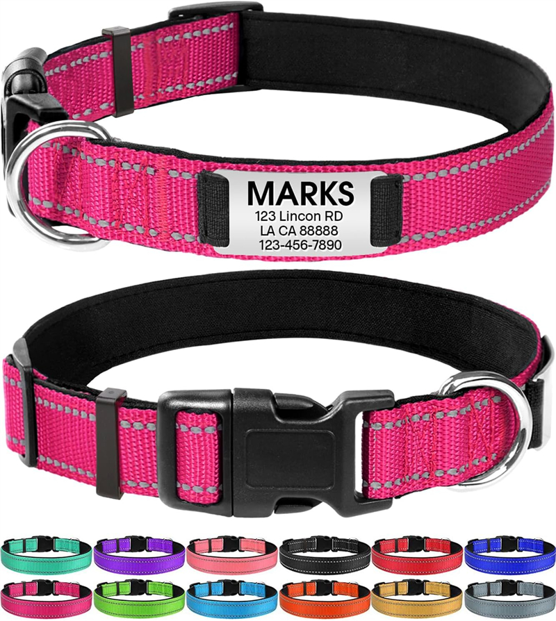 Personalized Reflective Nylon Dog Collar with Engraved Name Plate