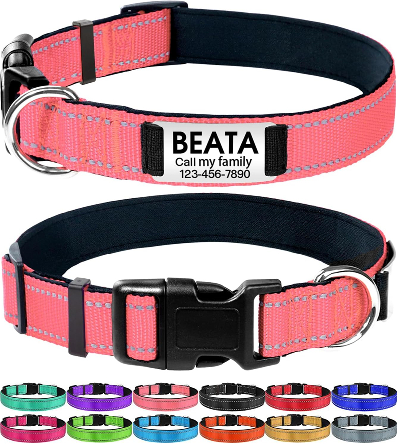 Personalized Reflective Nylon Dog Collar with Engraved Name Plate