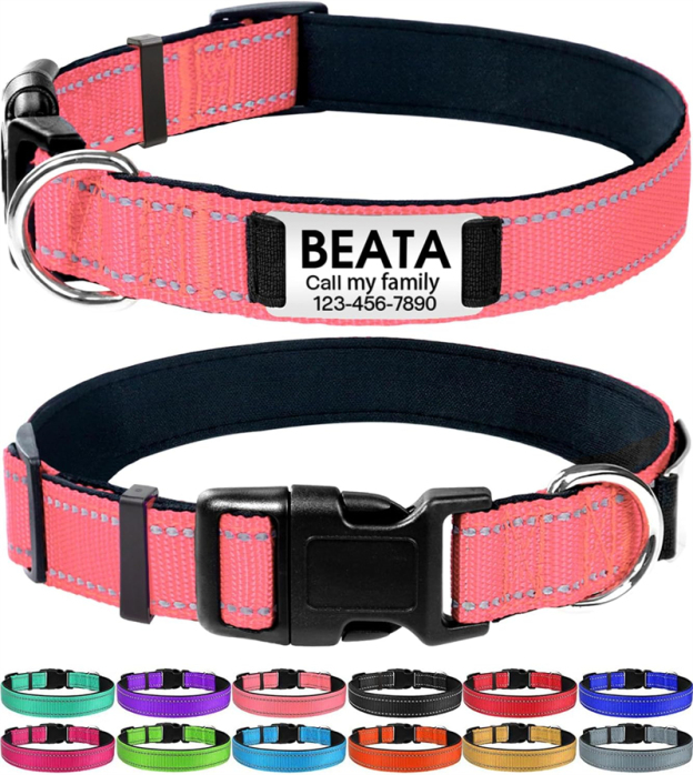 Personalized Reflective Nylon Dog Collar with Engraved Name Plate
