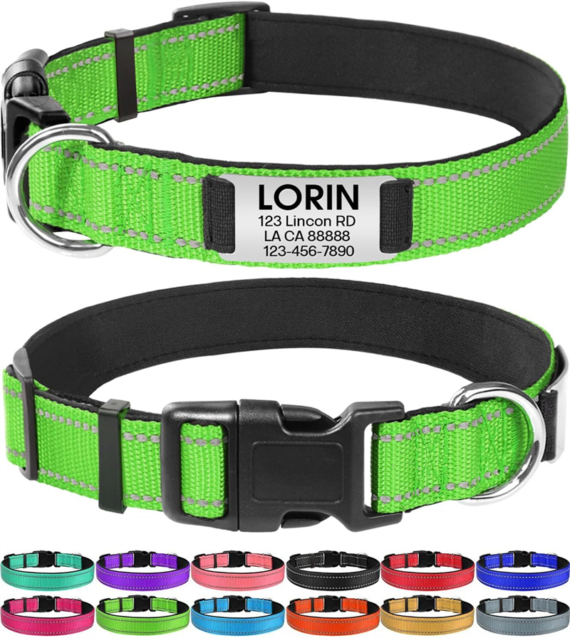 Personalized Reflective Nylon Dog Collar with Engraved Name Plate