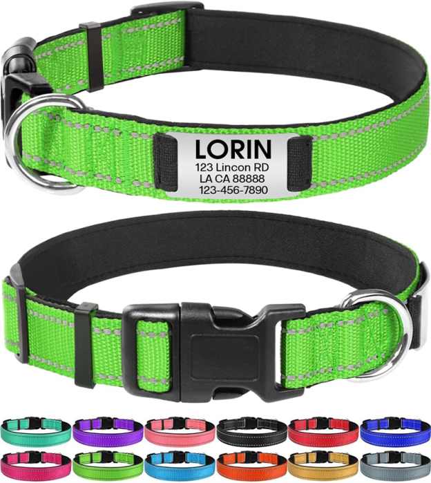 Personalized Reflective Nylon Dog Collar with Engraved Name Plate