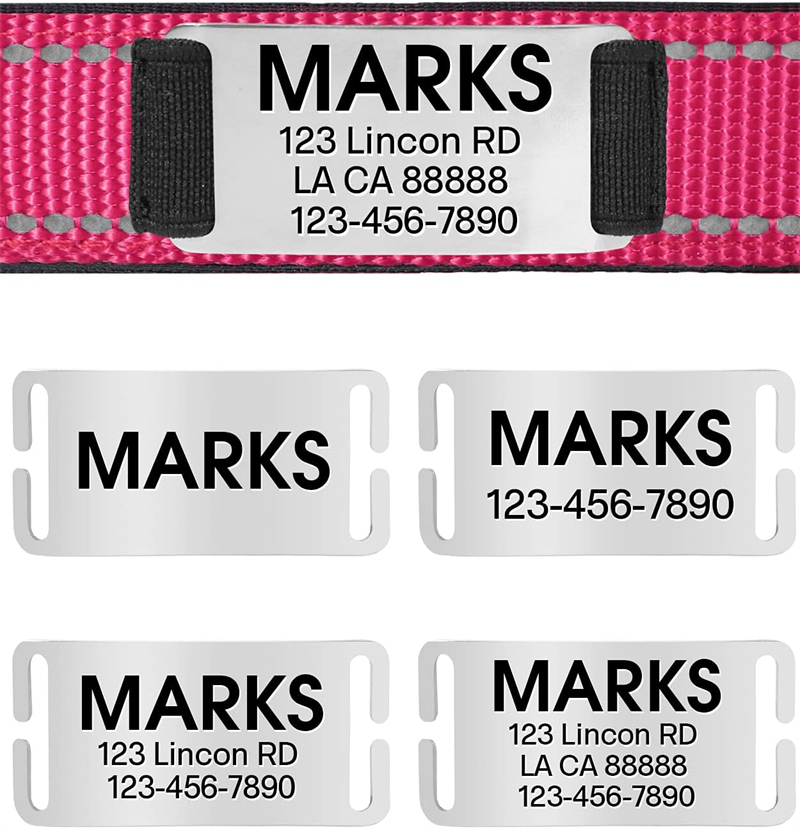 Personalized Reflective Nylon Dog Collar with Engraved Name Plate