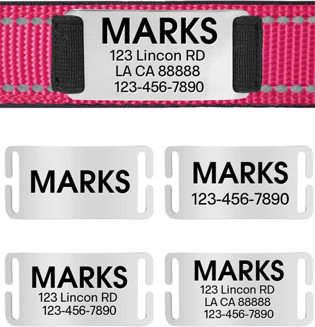 Personalized Reflective Nylon Dog Collar with Engraved Name Plate