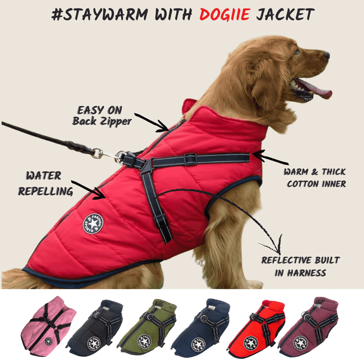 Personalized Warm Waterproof Dog Jacket With Harness