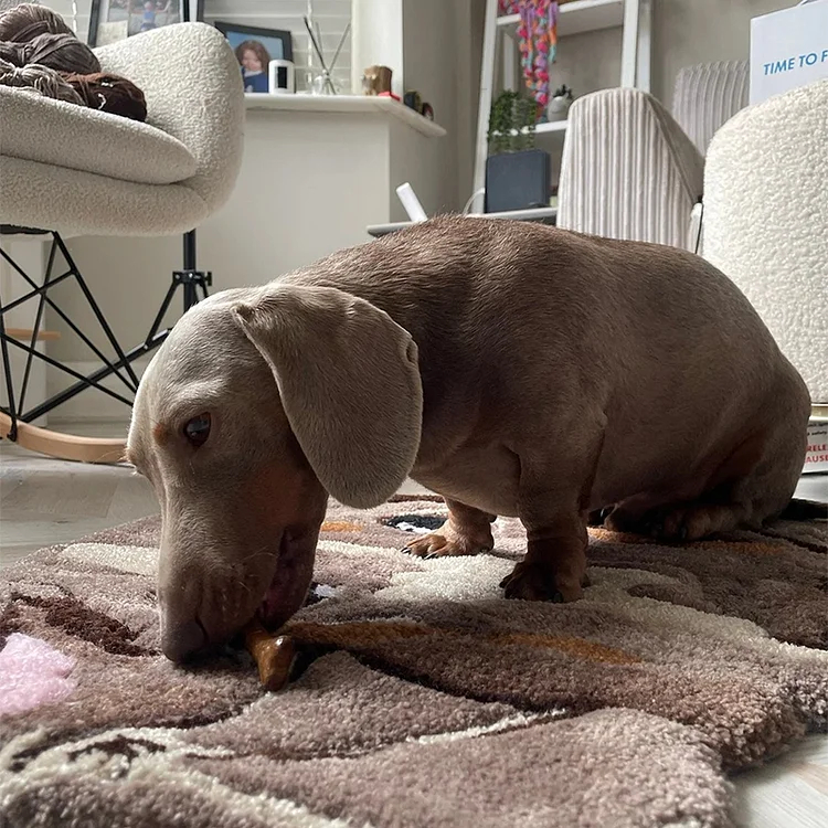 Personalised Pet Portrait Rug