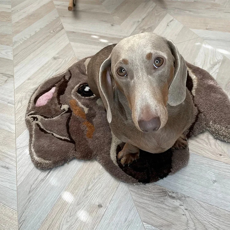 Personalised Pet Portrait Rug