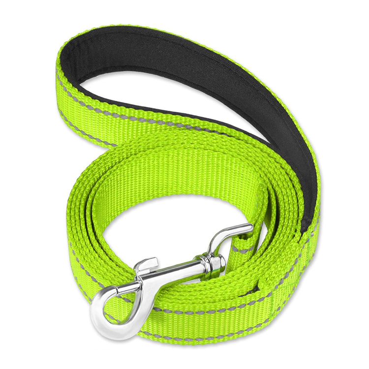 Reflective Nylon Dog Leash