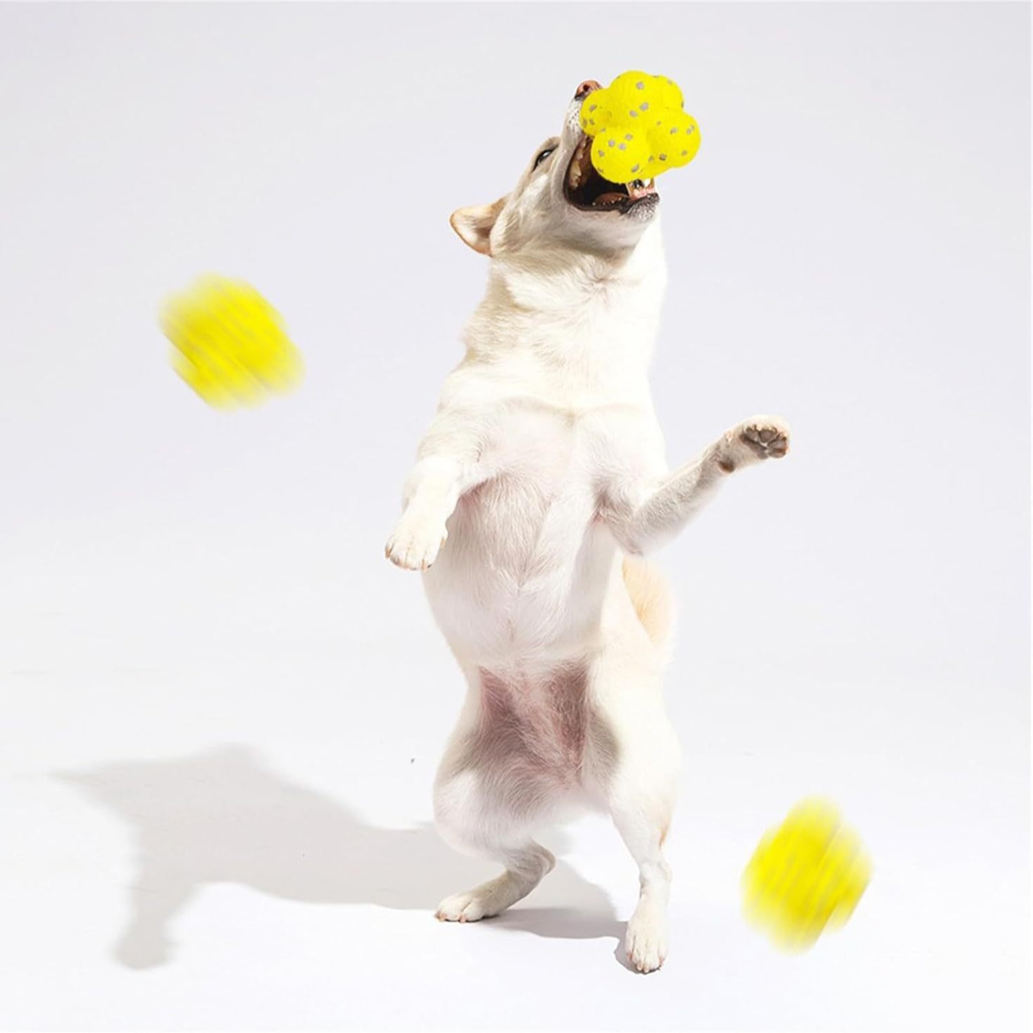 Dog Calming Balls
