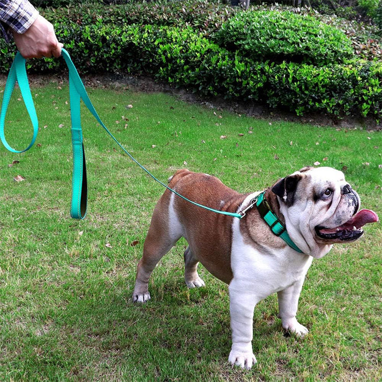 Reflective Nylon Dog Leash