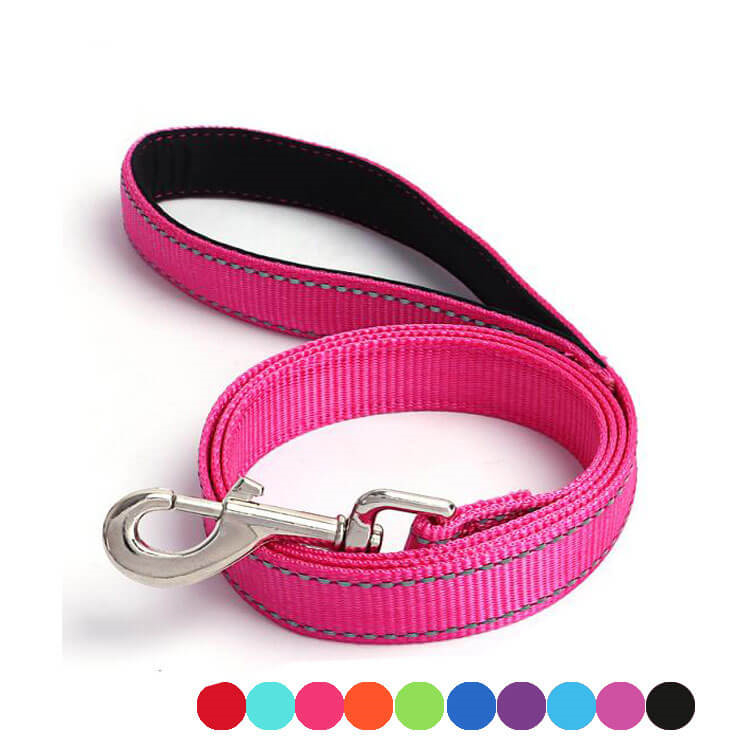 Reflective Nylon Dog Leash