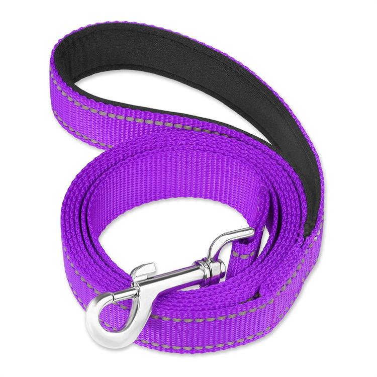 Reflective Nylon Dog Leash