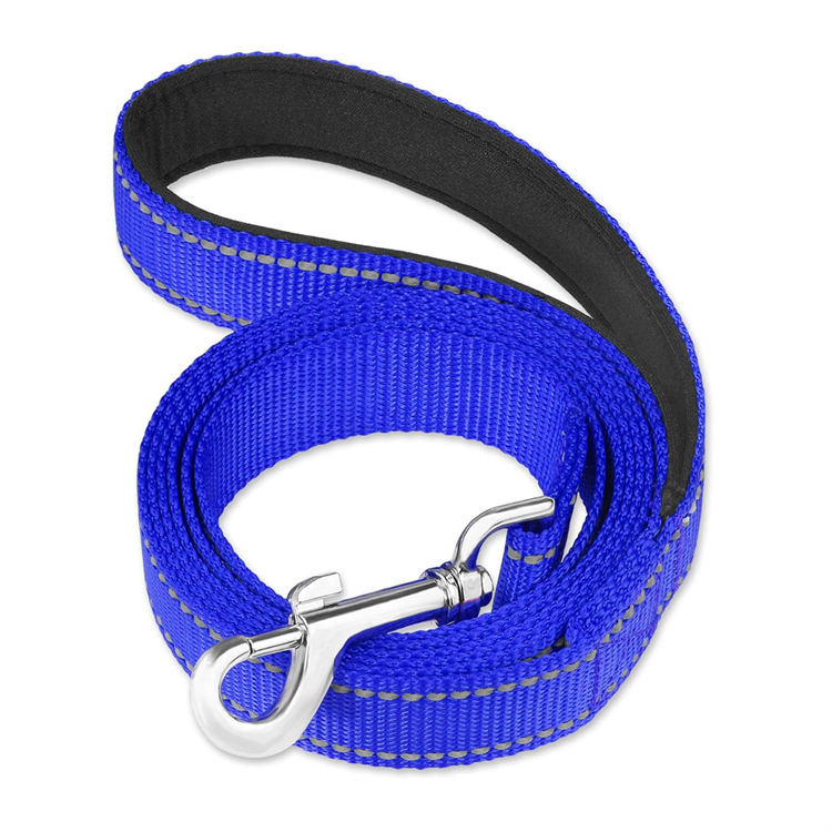 Reflective Nylon Dog Leash