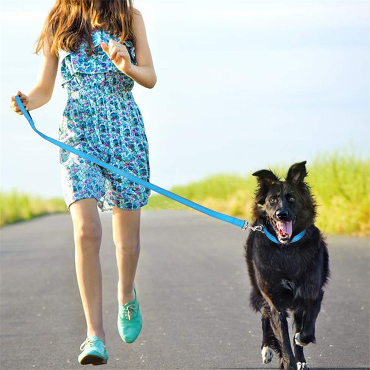 Reflective Nylon Dog Leash