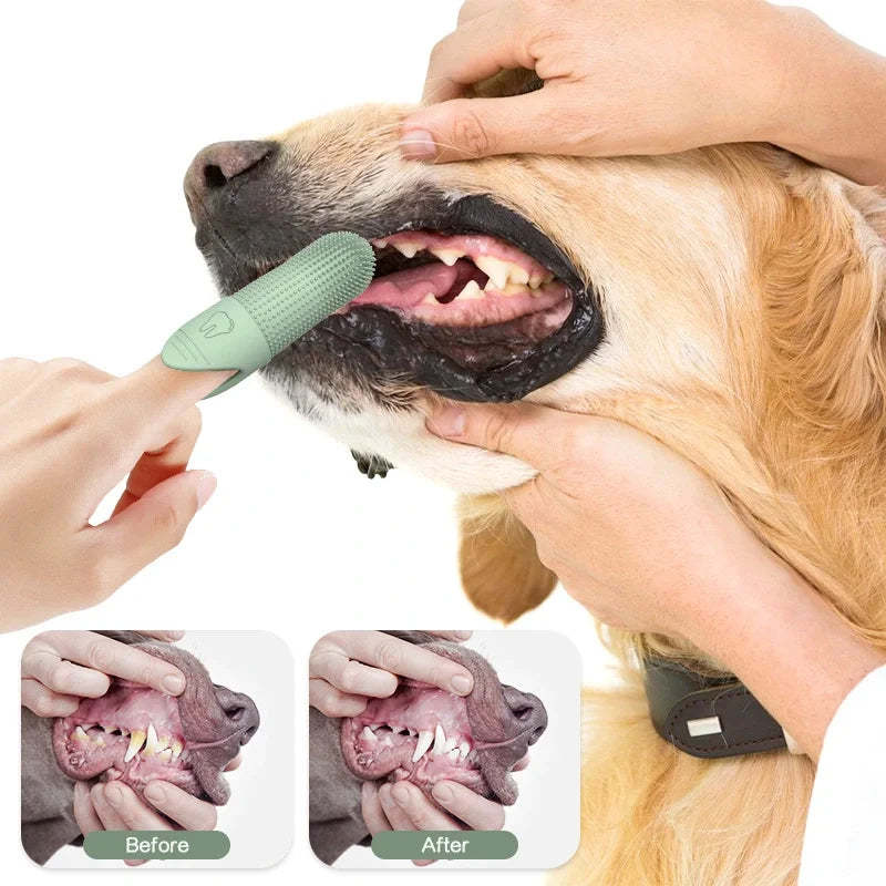 Keep your Pet's teeth clean without the stress of traditional brushing🐶