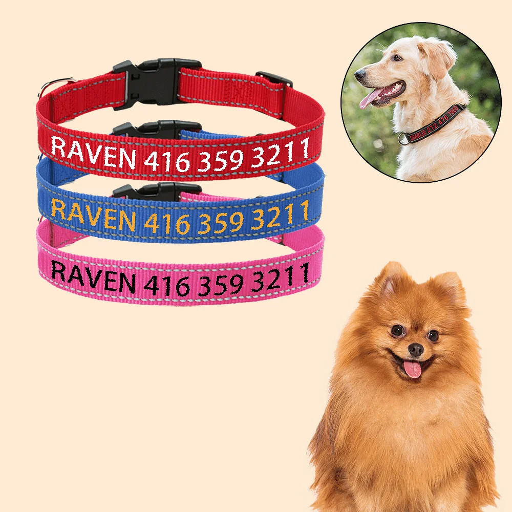 Personalized Multicolor Adjustable Reflective Strips Dog Collar