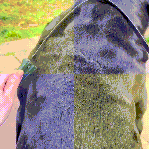 Dual-Sided Shedding Blade Pet Hair Brush