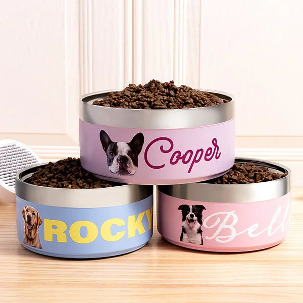 Personalized Pet Photo Food-grade Stainless Steel Dog Cat Bowl