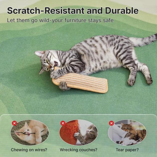 🔥 🐱Interactive Catnip Chew Toy