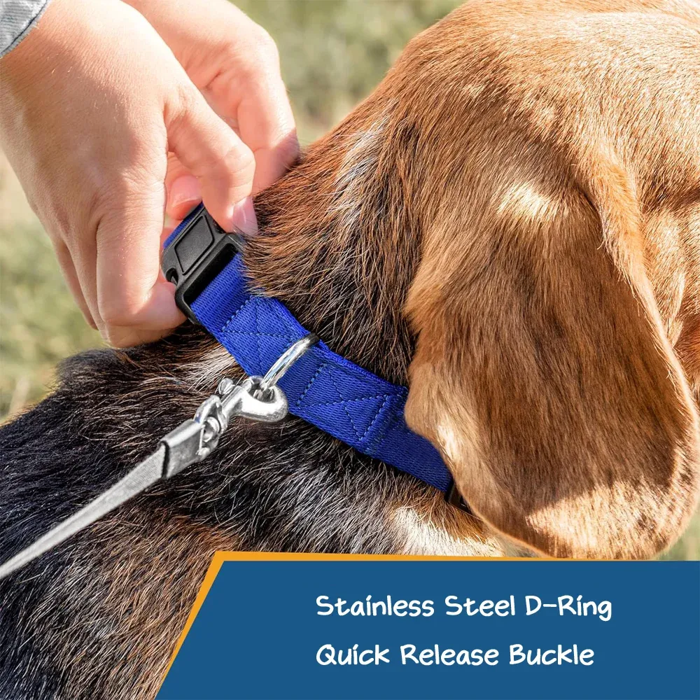 Personalized Multicolor Adjustable Reflective Strips Dog Collar