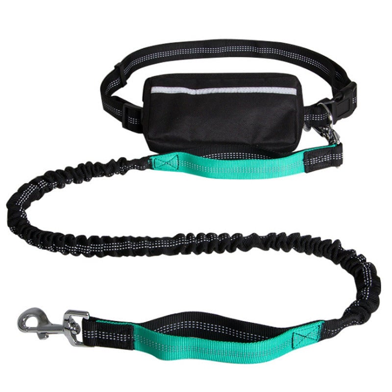 Hands-Free Reflective Dog Leash with Waist Zipper Pocket
