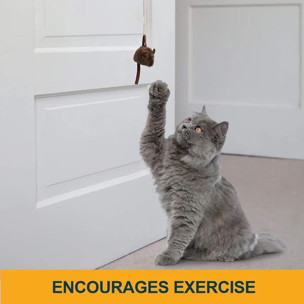 Realistic Mouse Cat Toy