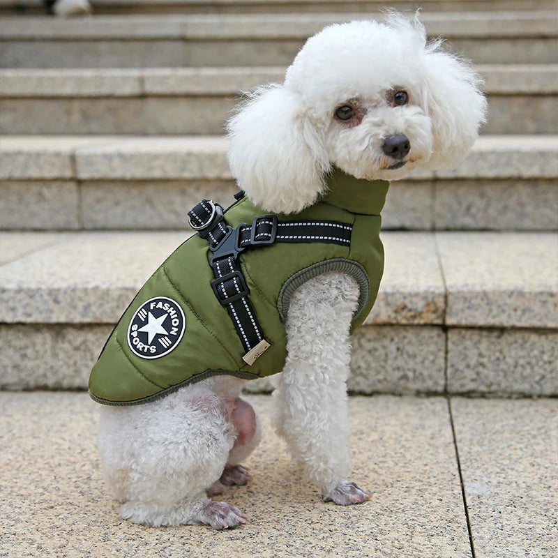 Personalized Warm Waterproof Dog Jacket With Harness