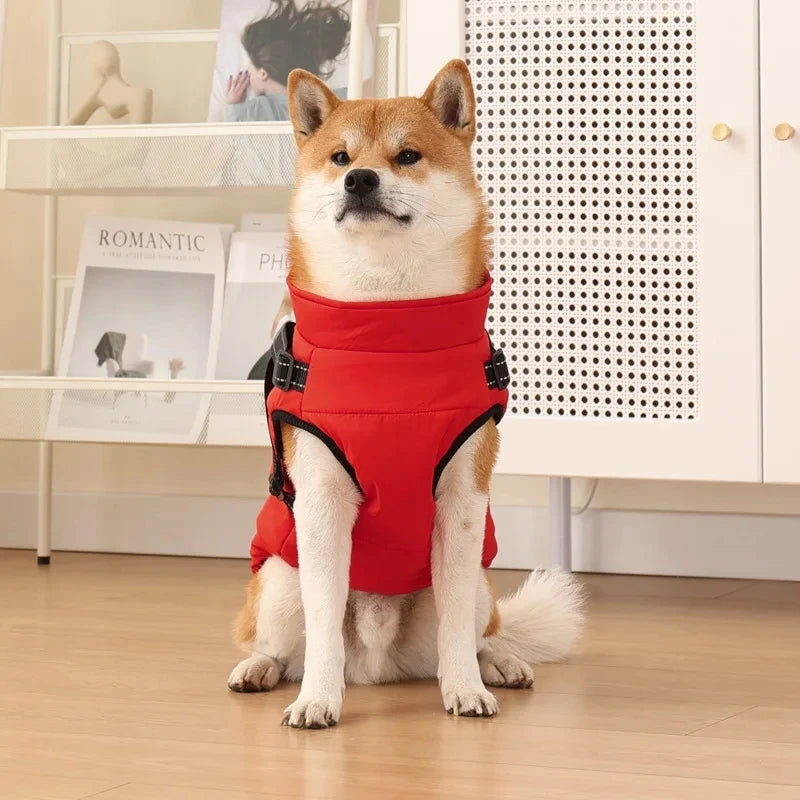 Personalized Warm Waterproof Dog Jacket With Harness