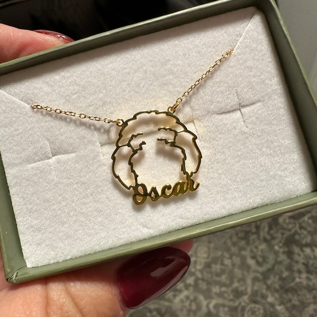 🐾 Personalised Pet Necklace with Name