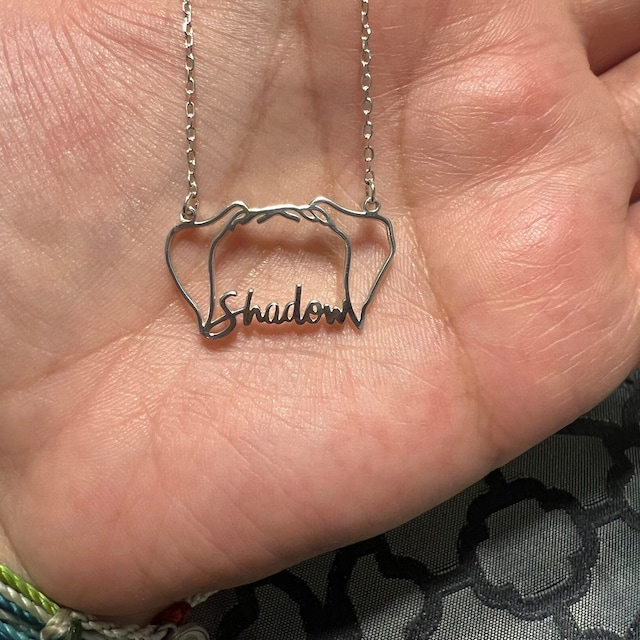 🐾 Personalised Pet Necklace with Name